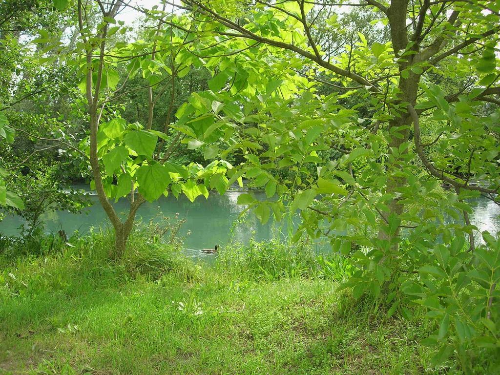 Maison Pres De L'Eau ลีล-ซูร์-ลา-ซอร์ก ภายนอก รูปภาพ